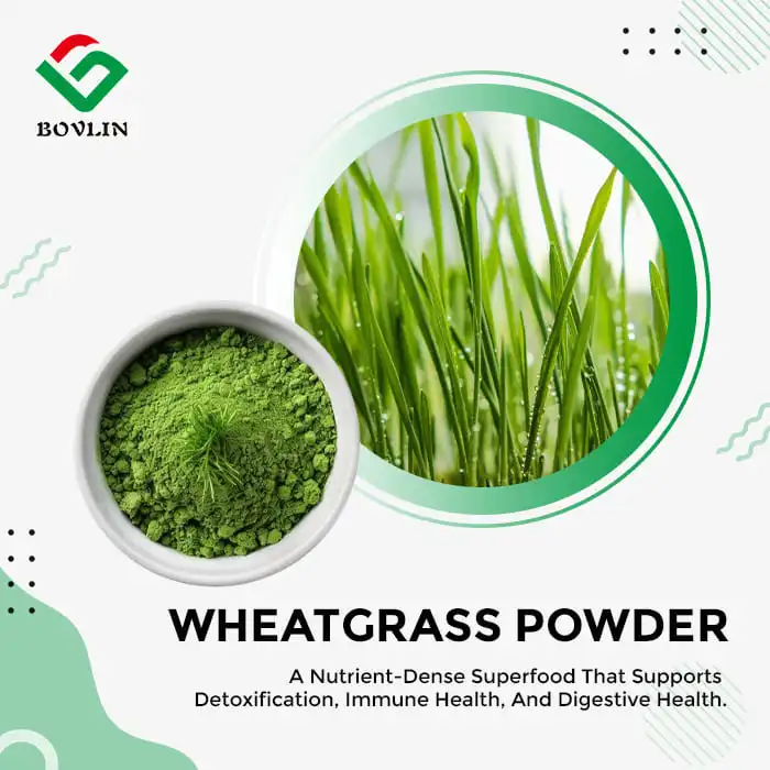 Organic Wheatgrass Powder